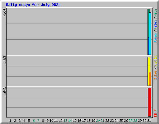 Daily usage for July 2024