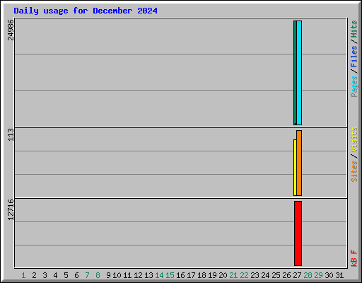 Daily usage for December 2024