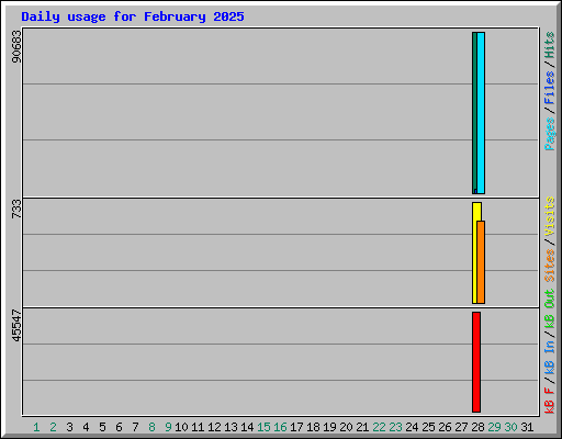 Daily usage for February 2025