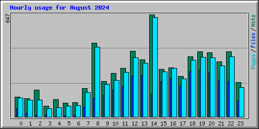 Hourly usage for August 2024