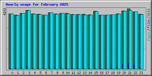 Hourly usage for February 2025