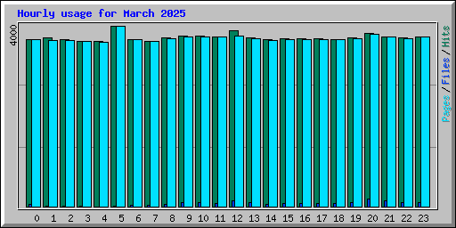 Hourly usage for March 2025