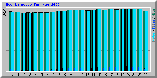 Hourly usage for May 2025