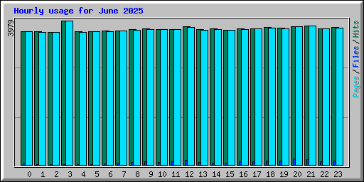 Hourly usage for June 2025