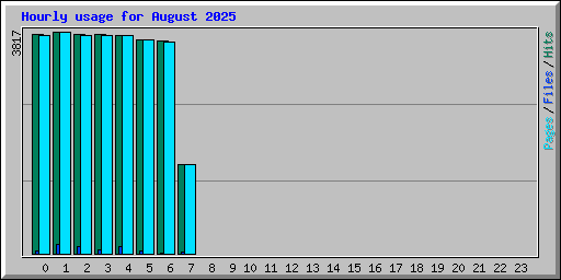 Hourly usage for August 2025