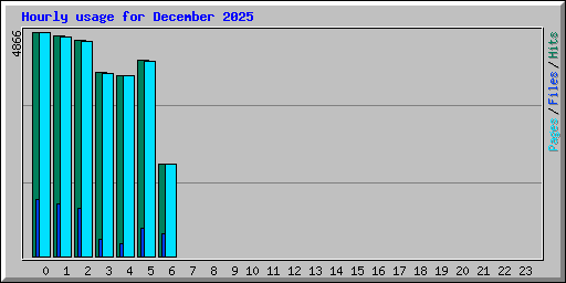 Hourly usage for December 2025